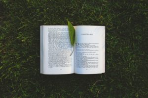 Book on Grass